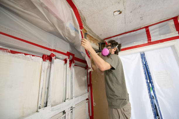 Mold Remediation for Vacation Homes in Marienville, PA