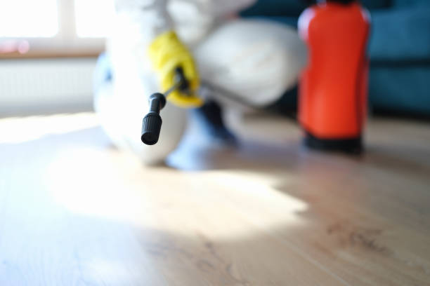 Best Forensic Mold Investigation  in Marienville, PA